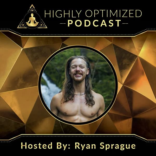 Cover art for Highly Optimized