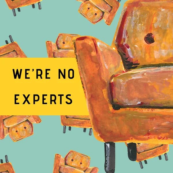 Cover art for We're No Experts
