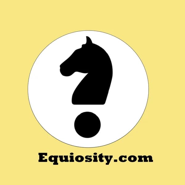 Cover art for Equiosity