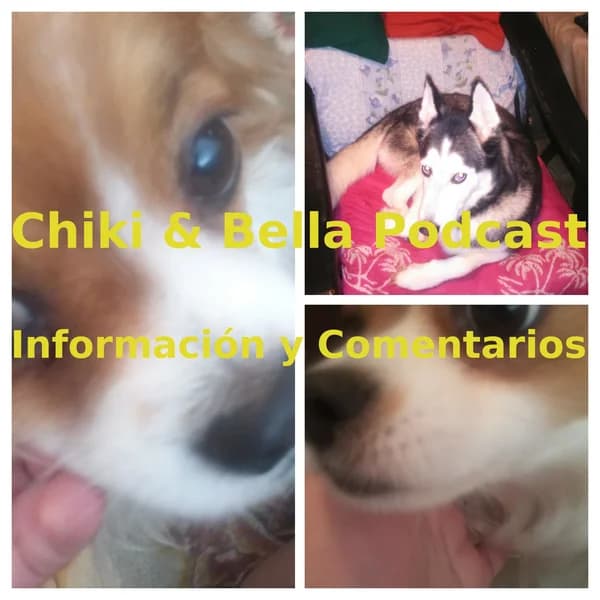 Cover art for Chiki & Bella Podcast - Información y Comentarios