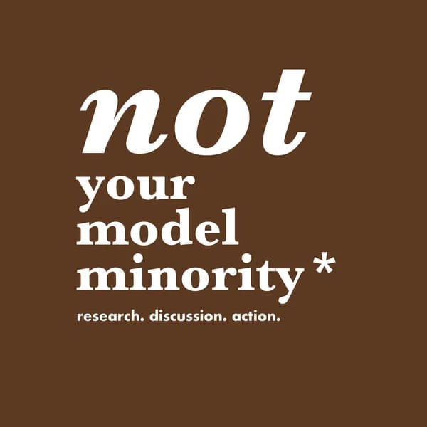 Cover art for Not Your Model Minority
