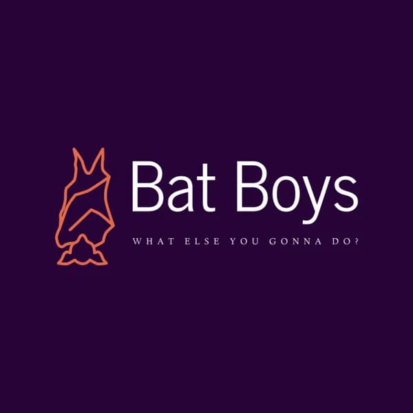 Cover art for Bat Boys Comedy
