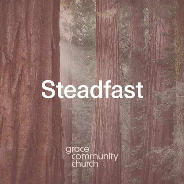 Cover art for Steadfast Sermon Podcast