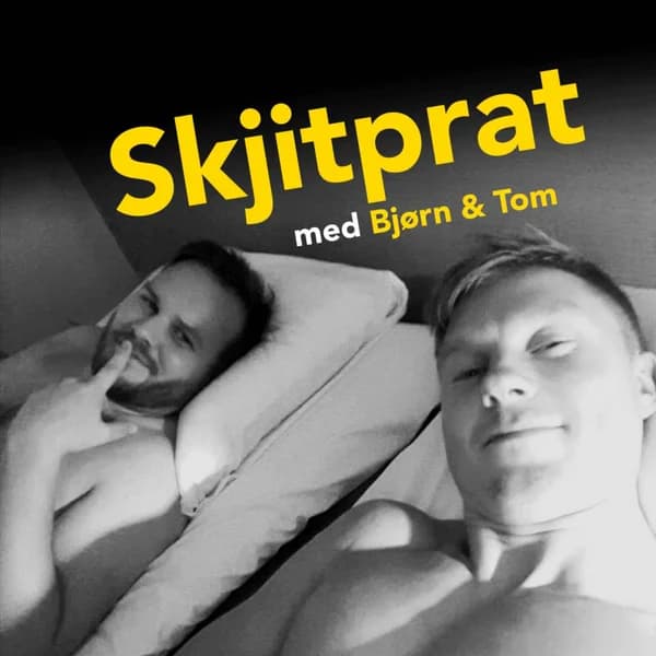 Cover art for Skjitprat
