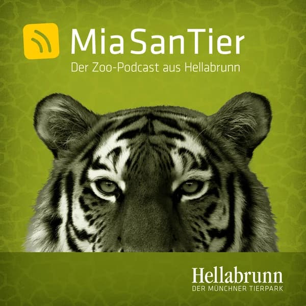 Cover art for Mia san Tier - Der Zoo-Podcast aus Hellabrunn