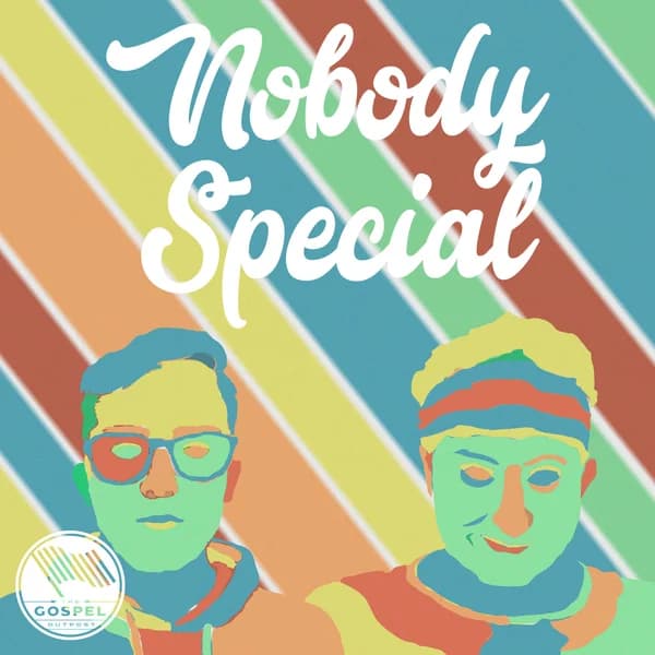 Cover art for Nobody Special