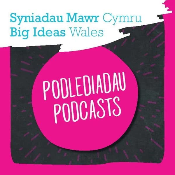 Cover art for Big Ideas Wales: Be Your Own Boss Podcast