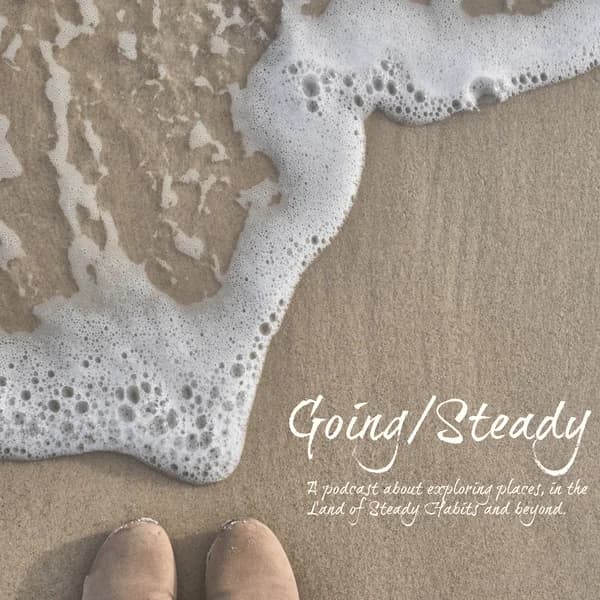 Cover art for Going/Steady
