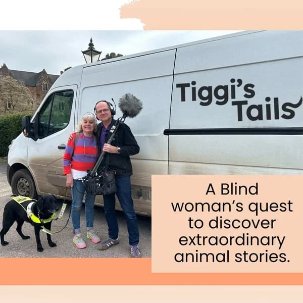 Cover art for Tiggi's Tails