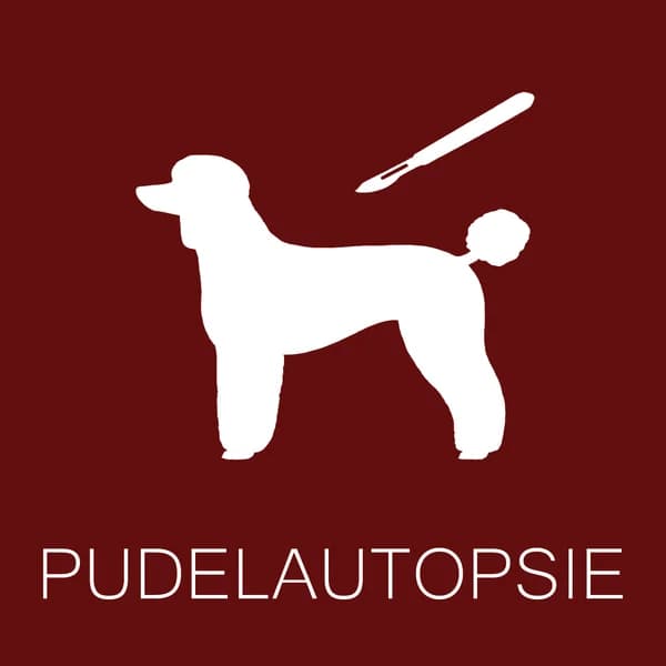 Cover art for Pudelautopsie