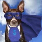 Cover art for Da Scrappy Chihuahua Reborn