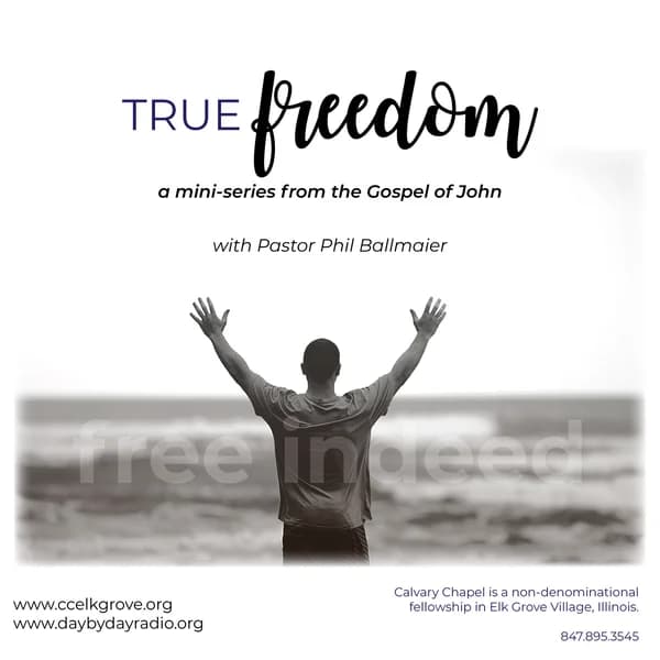 Cover art for SS-True Freedom Series