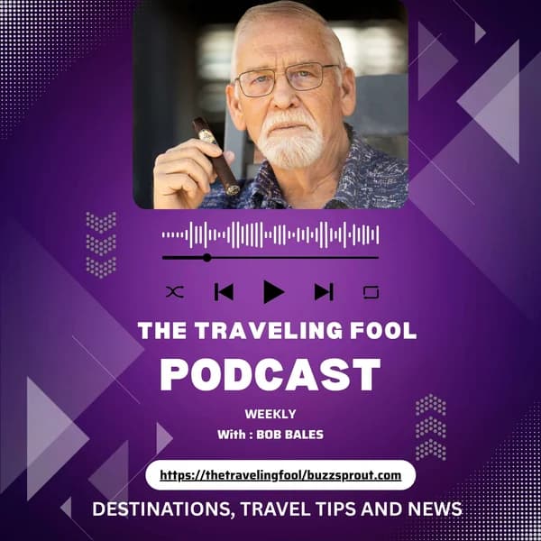 Cover art for The Traveling Fool