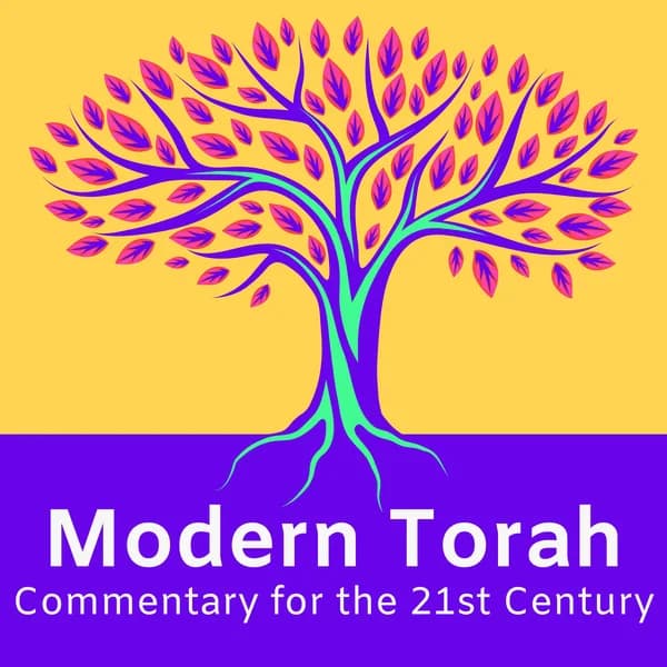Cover art for Modern Torah