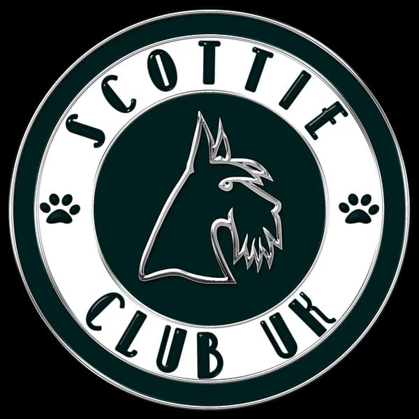 Cover art for Scottie Radio UK