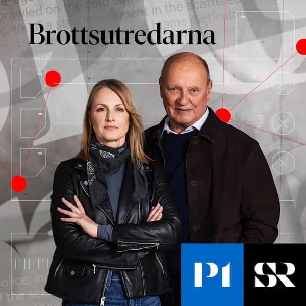 Cover art for Brottsutredarna
