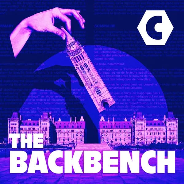 Cover art for The Backbench