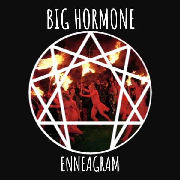 Cover art for Big Hormone Enneagram