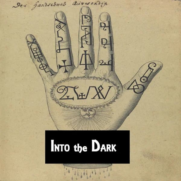 Cover art for Into the Dark