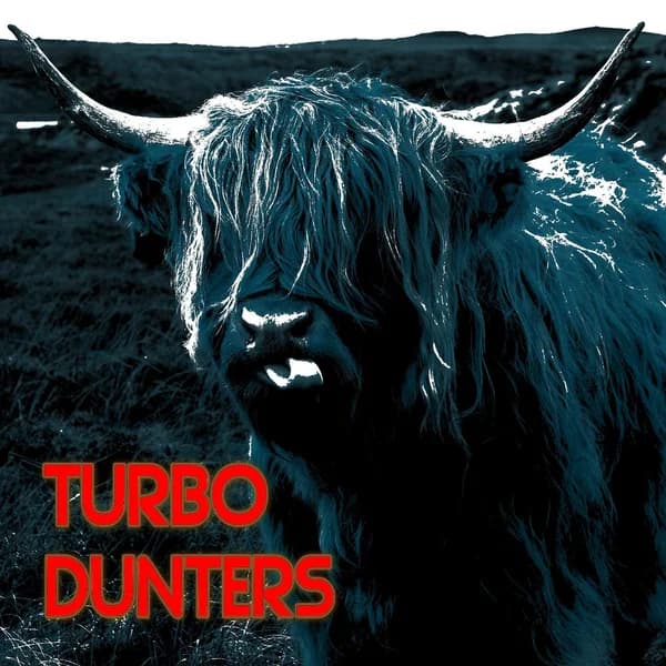 Cover art for TurboDunters