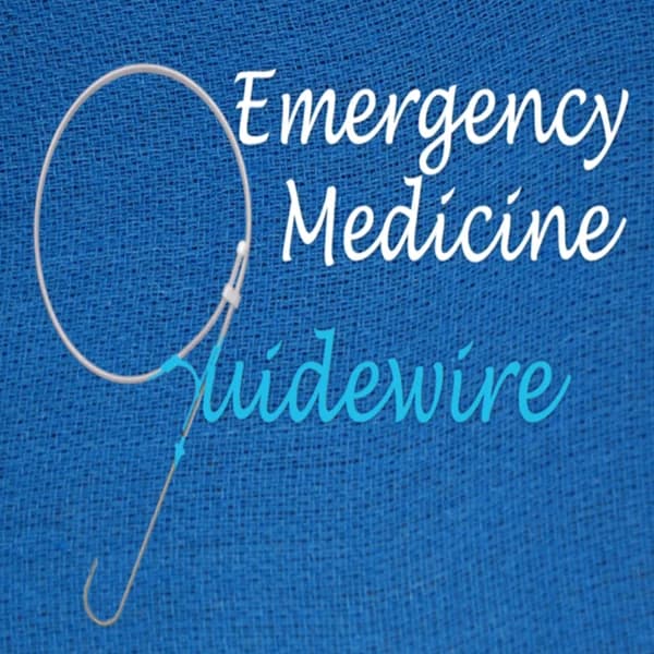 Cover art for EMGuidewire's Podcast