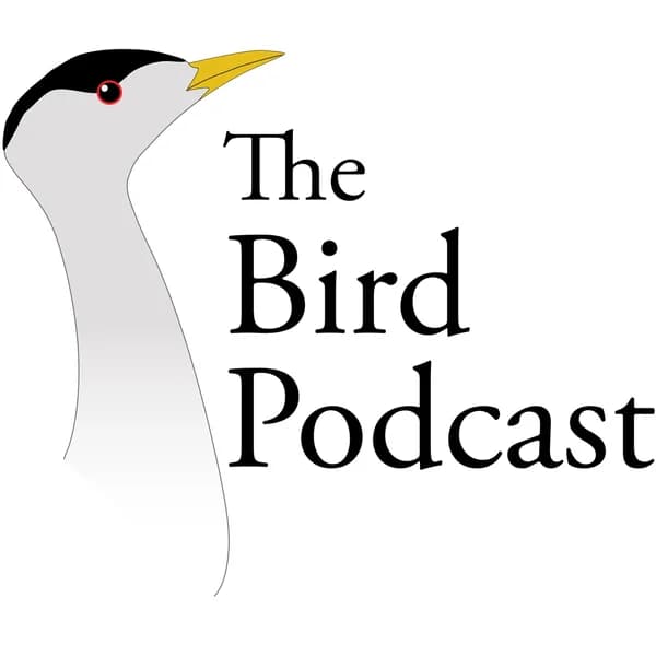 Cover art for Bird Podcast with Shoba Narayan
