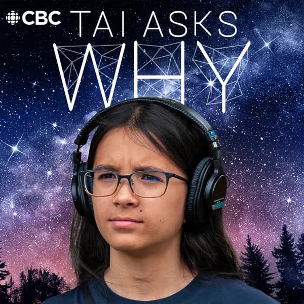 Cover art for Tai Asks Why