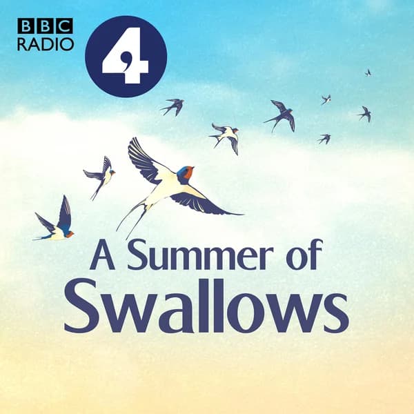 Cover art for A Summer of Swallows