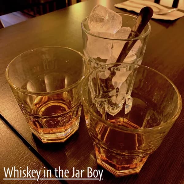Cover art for Whiskey in the Jar Boy