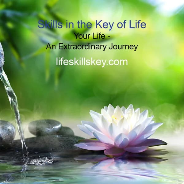 Cover art for Your Life - An Extraordinary Journey