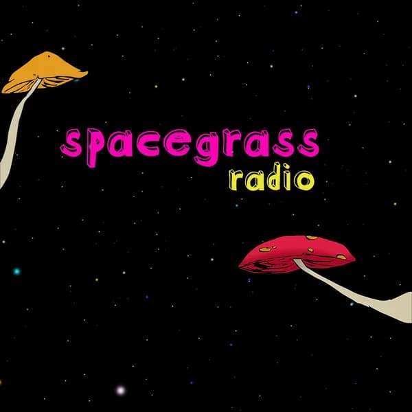 Cover art for Spacegrass Radio