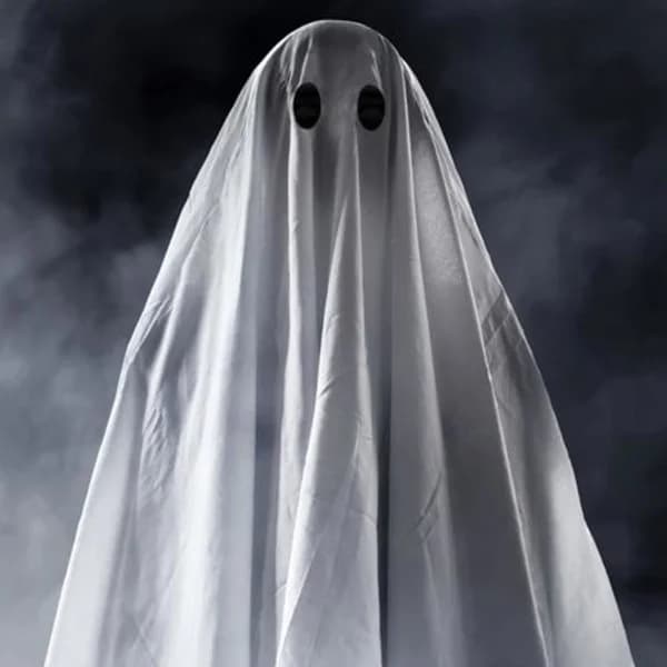 Cover art for COSAS DE FANTASMAS