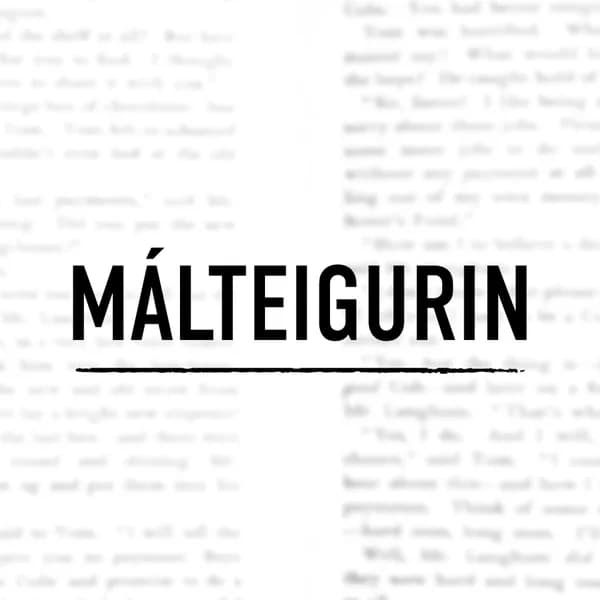 Cover art for Málteigurin