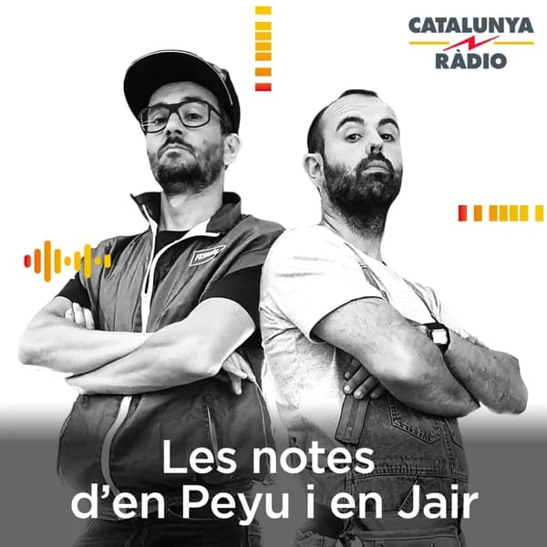 Cover art for Les notes d'en Peyu i en Jair