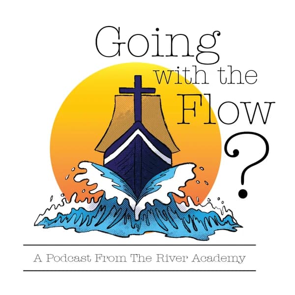 Cover art for Going With The Flow?