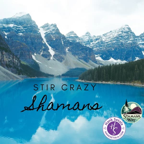 Cover art for Stir Crazy Shamans