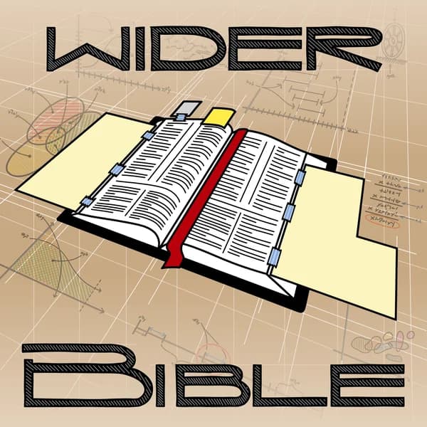 Cover art for WiderBible