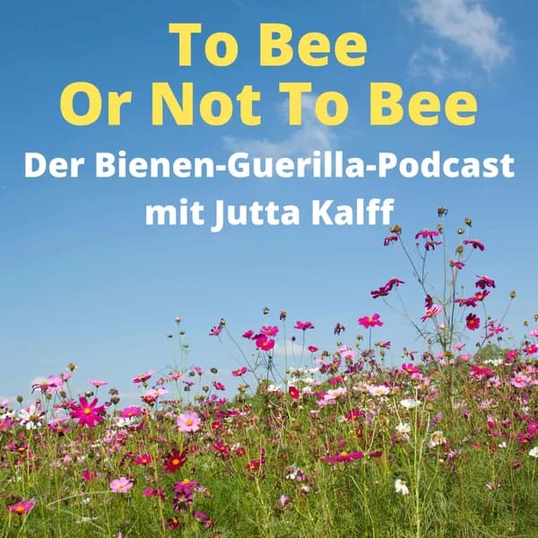 Cover art for To Bee Or Not To Bee