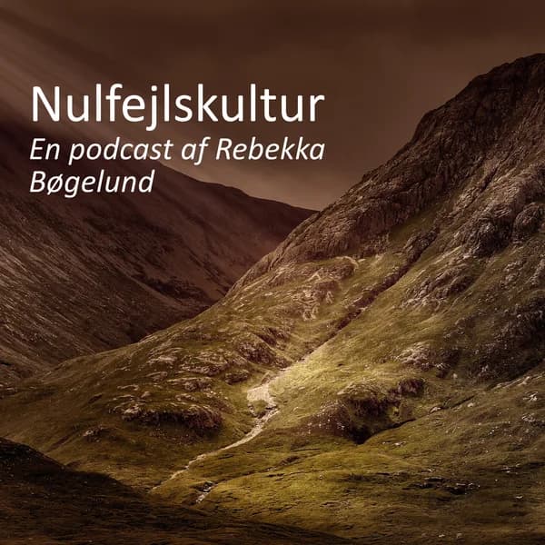 Cover art for Nulfejlskultur
