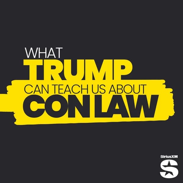 Cover art for What Trump Can Teach Us About Con Law