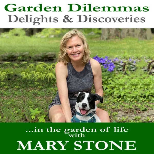 Cover art for Garden Dilemmas, Delights & Discoveries