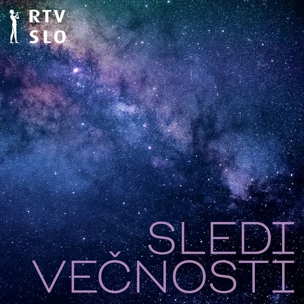 Cover art for Sledi večnosti
