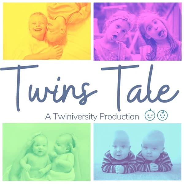 Cover art for Twins Tale