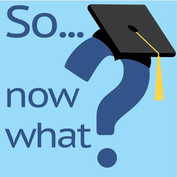 Cover art for So...Now What?