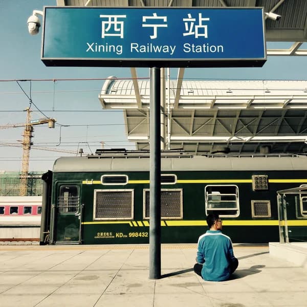 Cover art for Zhenyu