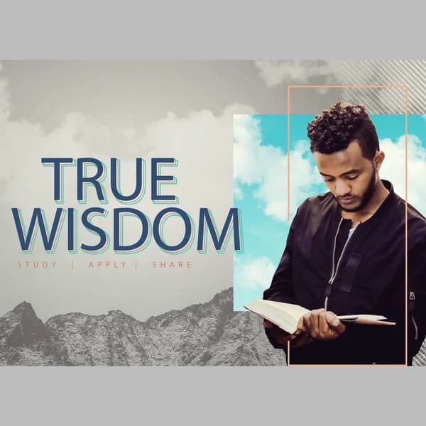 Cover art for True Wisdom