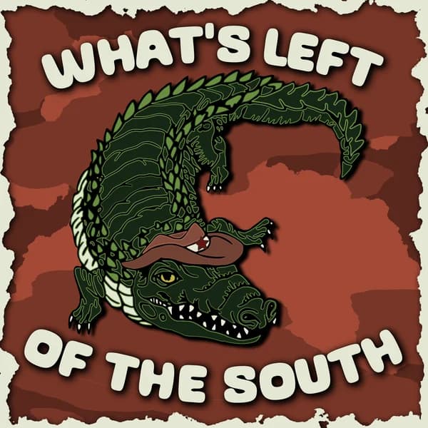 Cover art for What's Left of the South