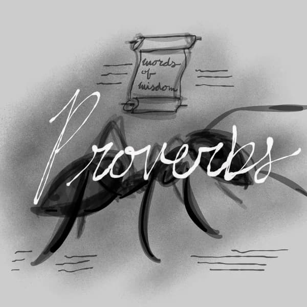 Cover art for Proverbs Daily Podcast