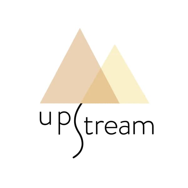 Cover art for Upstream