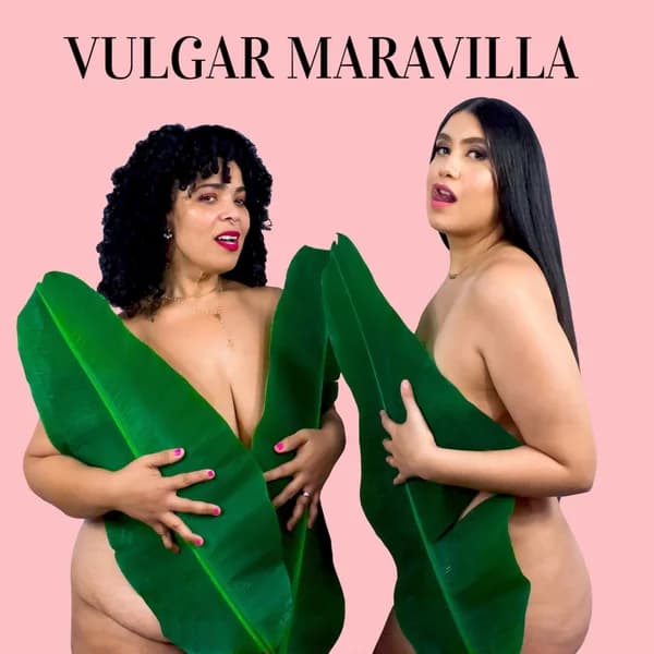 Cover art for Vulgar Maravilla